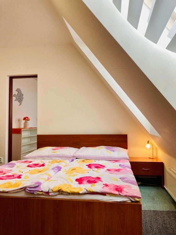 Apartmany, Penzion, Wellness U Zlate Rybky Vyškov Exterior foto