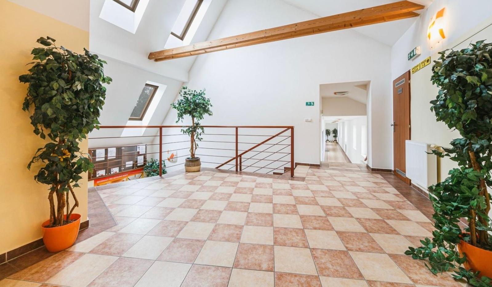 Apartmany, Penzion, Wellness U Zlate Rybky Vyškov Exterior foto